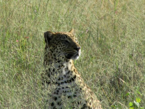 image025-300x225