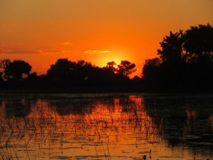 image027-300x225